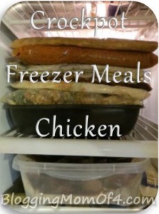 Crockpot Freezer Cooking