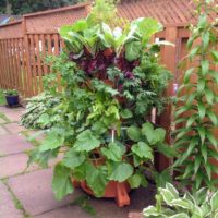 vertical garden planter