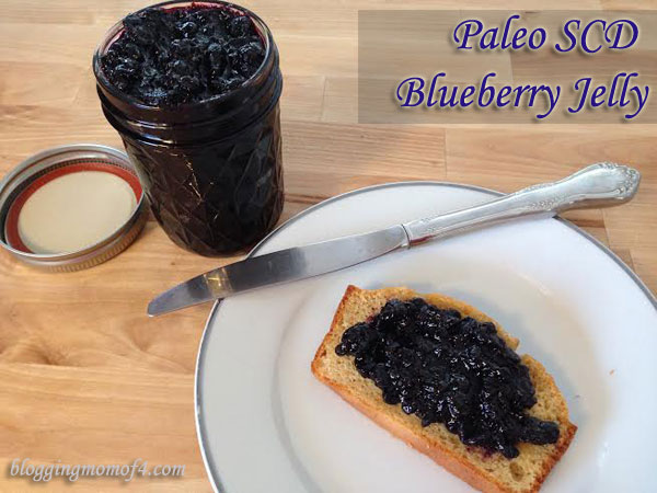 This Paleo SCD Jelly recipe, I've seen in a few places actually. It is a great tasting jelly. I would have thought that making homemade jelly would have been so much harder to make. I thought wrong.