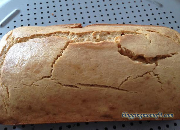 paleo sandwich bread