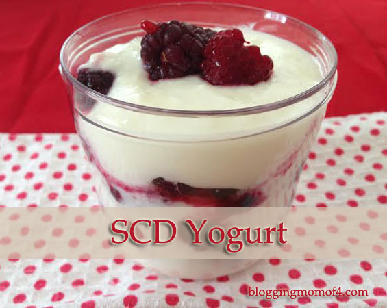 scd yogurt maker