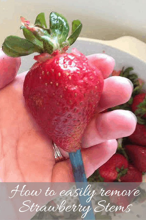 I love strawberries but really hate to remove strawberry stems. Are you in the same boat? I found this super easy way to remove strawberry stems. Click through to find out how!