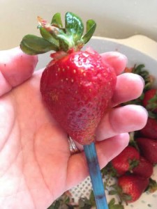 How to Easily Remove Strawberry Stems