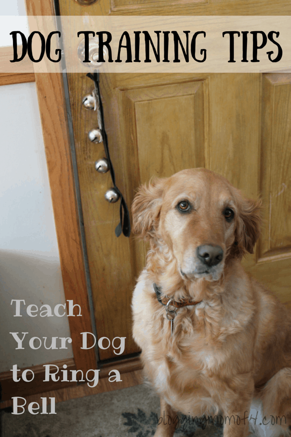 Dog Training Tips - Teach Your Dog to Ring a Bell. One thing that both dogs have learned to do is to ring the bell when they want to go outside. Our guests usually marvel when the dogs do this. It actually is very simple to train. Click through to see for yourself.