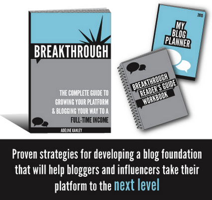 I just read through this book - BREAKTHROUGH. It is a fantastic guide on how to blog for new bloggers or bloggers that have been at it for awhile. There is always something you can learn in this crazy blogging world. 