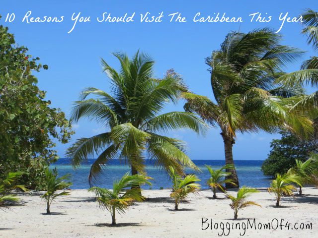 From the views, to the food, the warm temperatures, to the beautiful beaches. What is not to love!? 10 Reasons You Should Visit The Caribbean