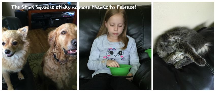 I love the shape of the Febreze Air Purifier, it's small and sleek! And being a family that has pets, anything that will help me keep my house fresh and clean smelling without taking up a ton of space is a win in my book. #KeepItFresh #ad