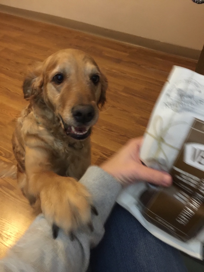 Lily can totally smell these right from the box. She's not very photogenic when she can't concentrate. All she wants is to try out these Vera Pet Treats!