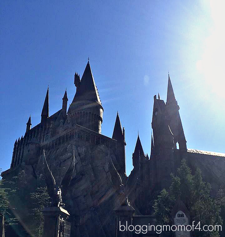 The family was down in Orlando in February and we had the chance to spend the day at Universal Studios Florida. There is so much to see and do there!