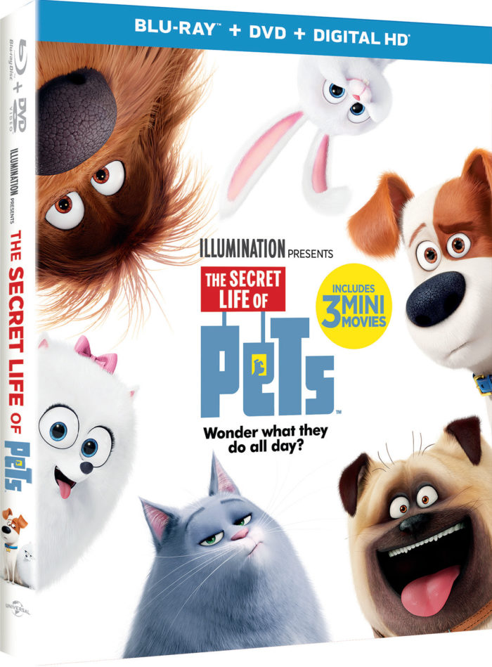 Just in time to wrap and put under the tree or add to the Christmas stockings!! Now available - The Secret Life of Pets on Blu-ray and DVD!! 