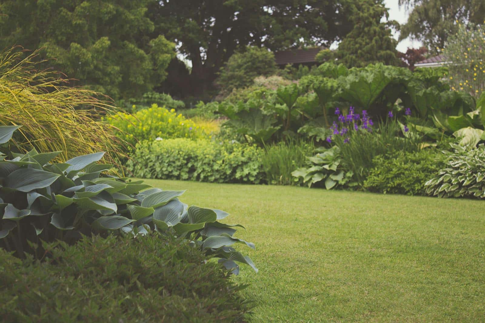 A lush backyard garden with vibrant plants and manicured lawn, ideal for a relaxing outdoor space.