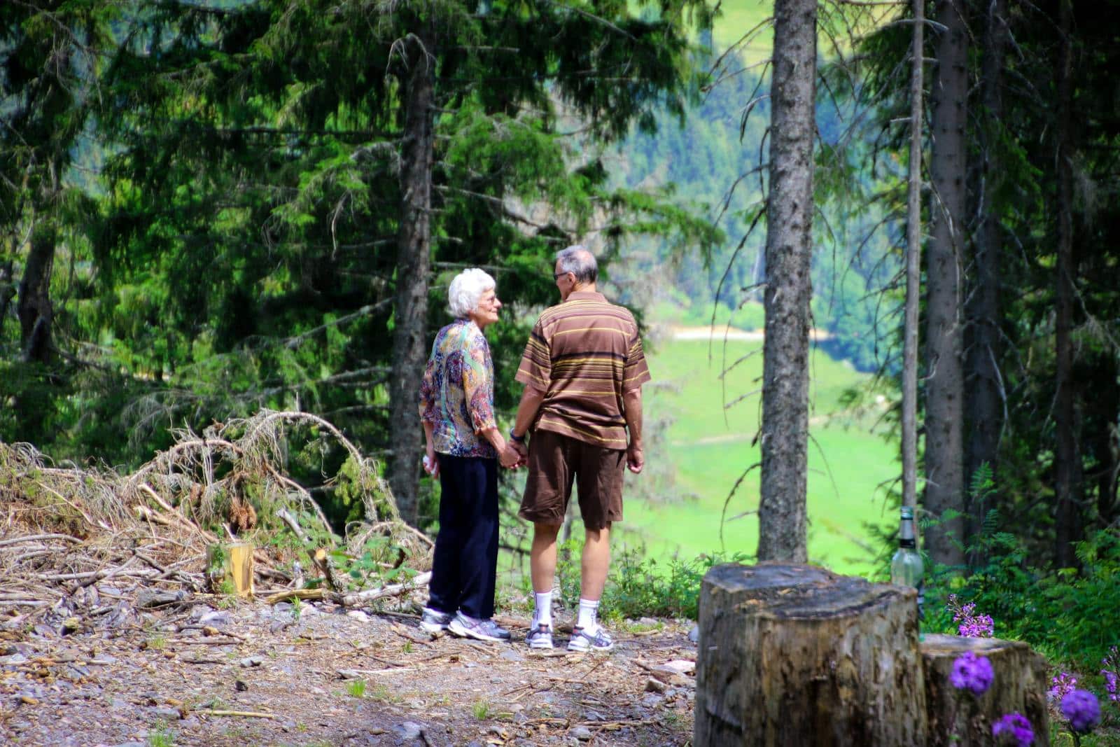 An elderly couple holding hands strolls through a serene forest trail, enjoying nature.