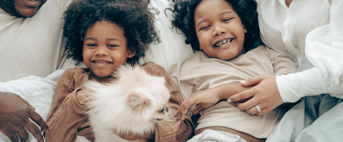What You Really Need to Consider When You’re Getting a Family Dog